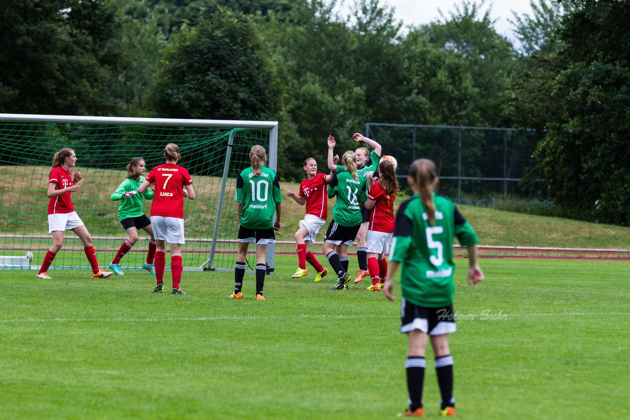 Bild 111 - C-Juniorinnen Landesmeister Finale SV Wahlstedt - TuRa Meldorf : Ergebnis: 1:4